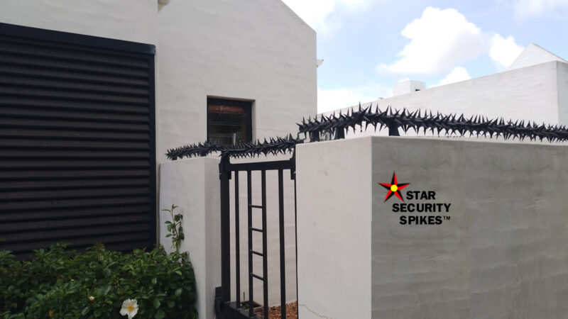 Star Security Spikes