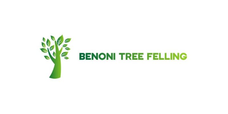 Benoni Tree Felling