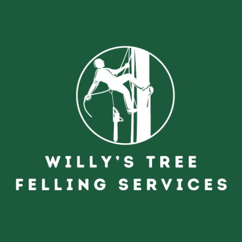 Willys Tree Felling