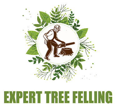 Expert Tree Felling