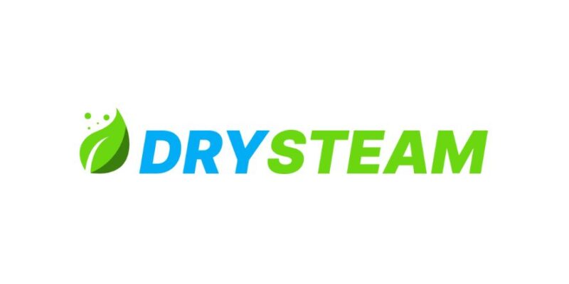 Drysteam