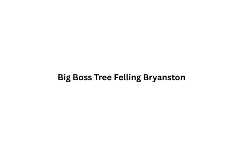 Big Boss Tree Felling Bryanston