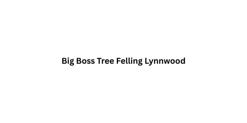 Big Boss Tree Felling Lynnwood