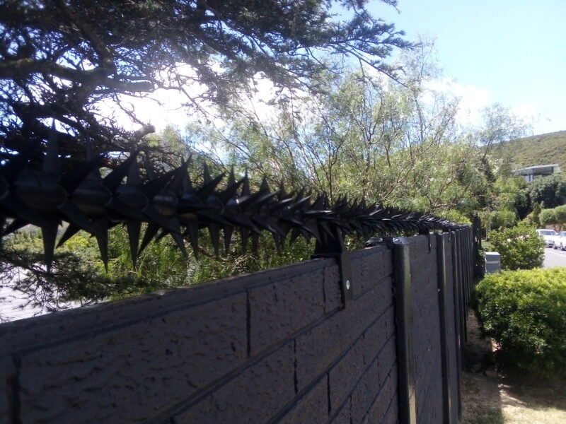 Star Security Spikes